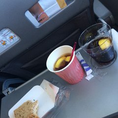 IMG 008